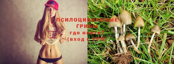 спиды Белокуриха