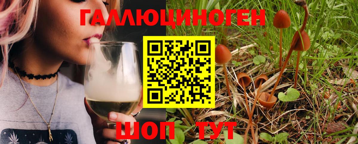 Галлюциногенные грибы ЛСД  купить наркоту  Галлюциногенные грибы мицелий  Гатчина 