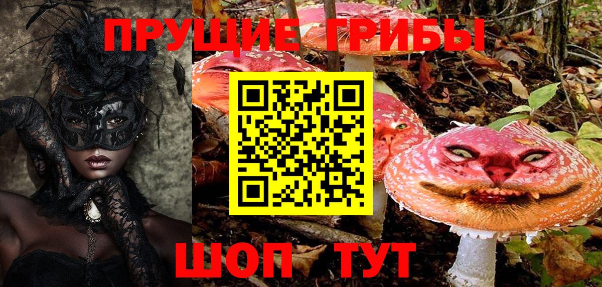 Псилоцибиновые грибы прущие грибы Гатчина